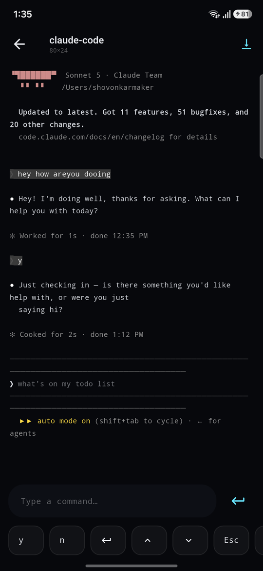 A live agent session open on a phone, with a text field and y, n and Escape keys