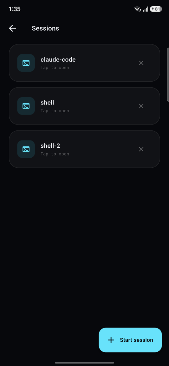 The session list, showing claude-code, shell and shell-2